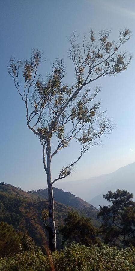 Ale Chojeke Apartamento Kalimpong Exterior foto